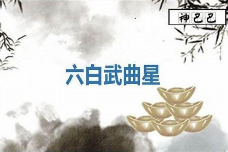 有武曲星吗