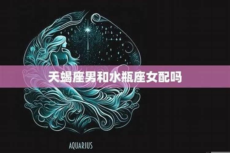 水瓶座与天蝎座配吗