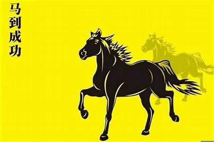 生肖马适合做什么生意