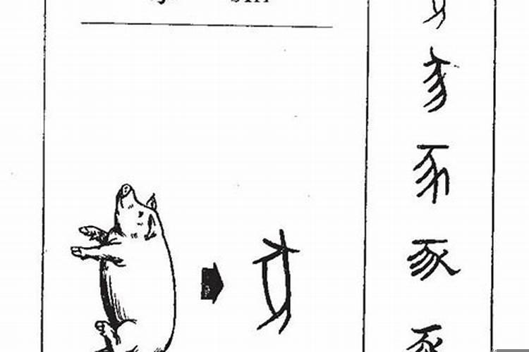 豕属于什么字形