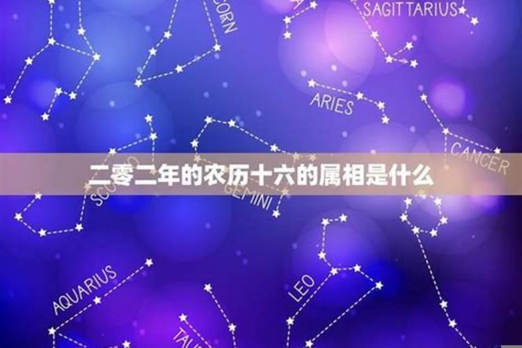 51岁是属什么生肖的