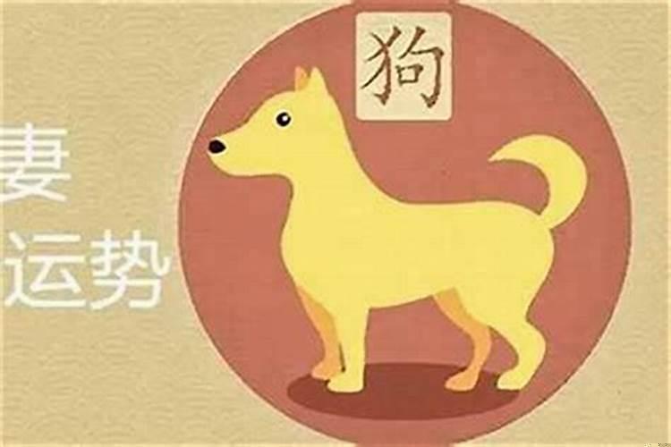 属狗男和属什么相配最好