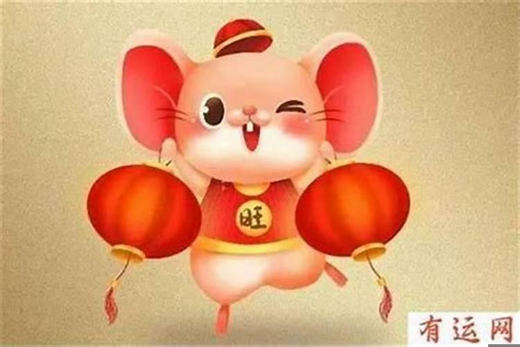 属老鼠的72年