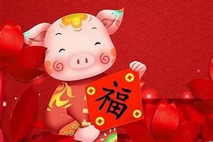 属猪人哪一年的运气不好呢