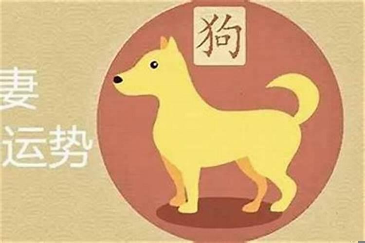 属龙女跟属狗男相配好不好