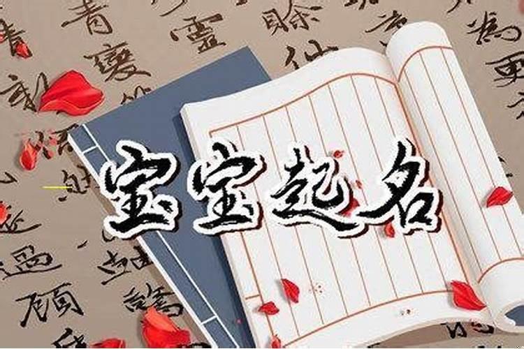 食神坐偏财男命