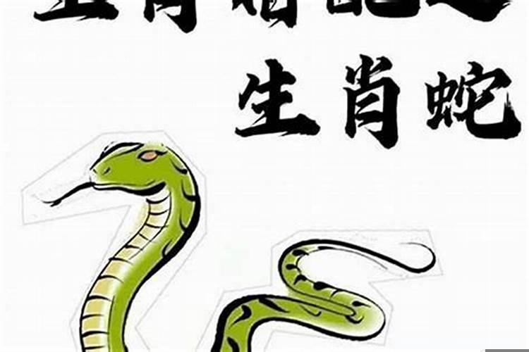 属蛇的男生婚配和什么属相的最搭配