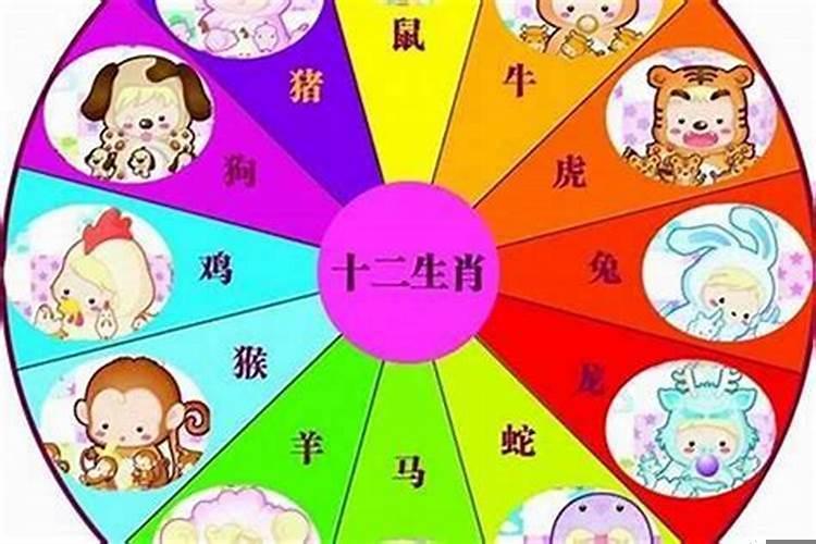 生肖五行属性是什么意思
