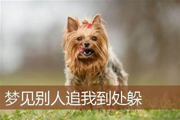 女人梦到自己在开车，后面有车在追