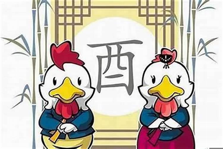 属鸡男的跟属兔女的相配吗