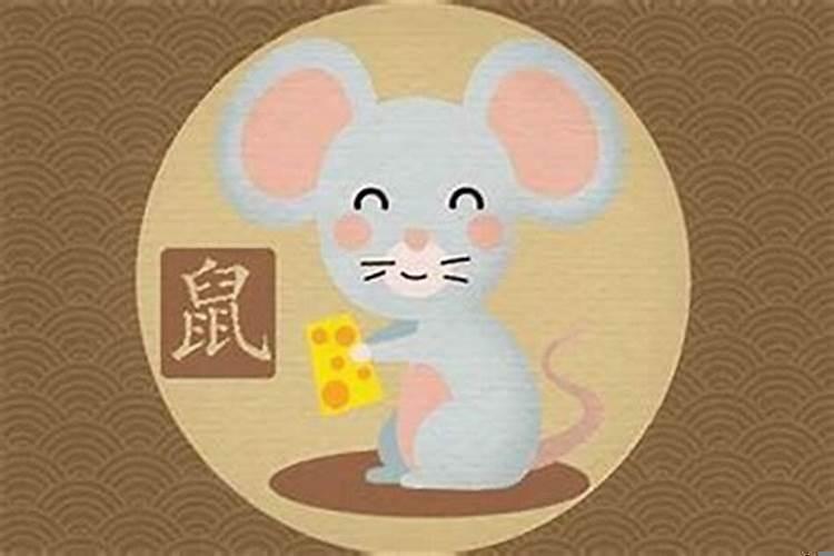 属老鼠的72年