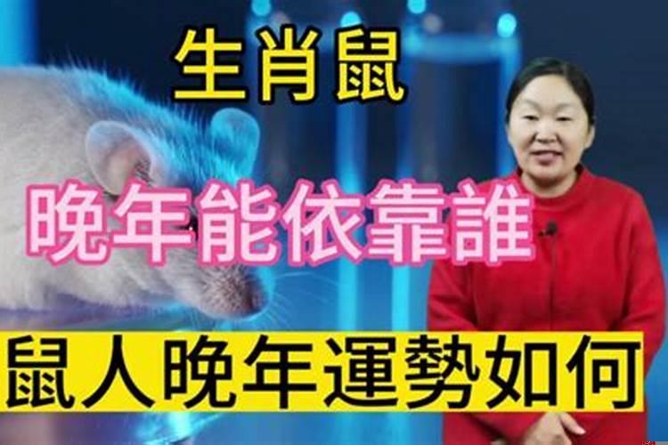 生肖鼠是个什么样的人