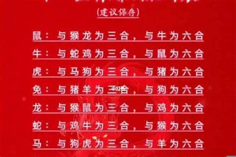 十二星座十二生肖婚配