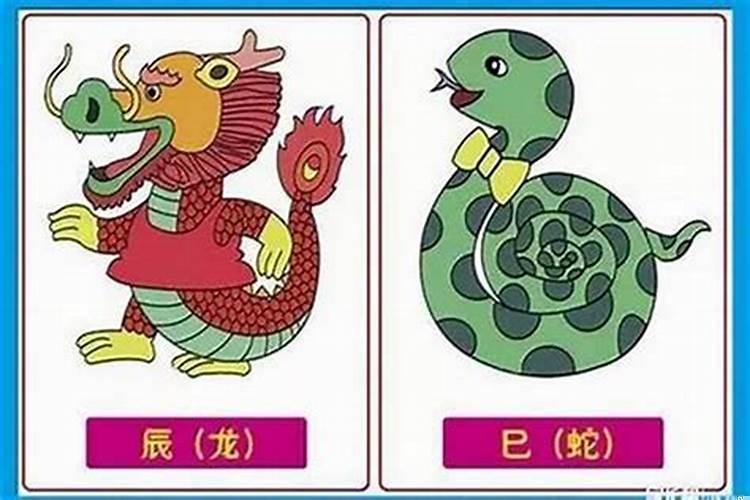 属虎男和女蛇结婚好吗