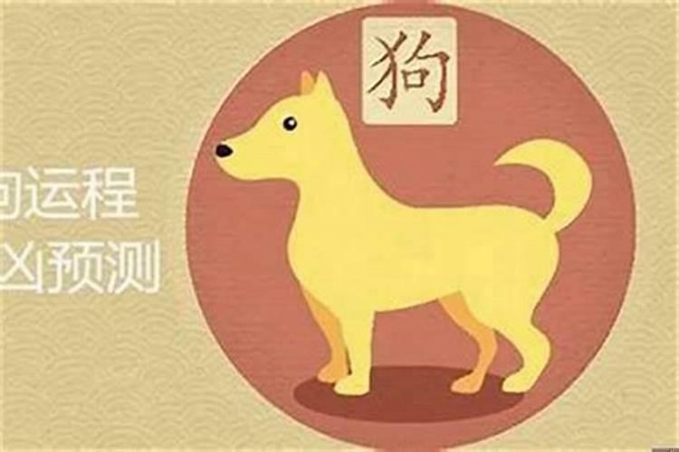 属狗的财运在哪个方位