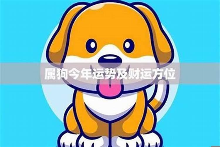 属狗的财运在哪个方位