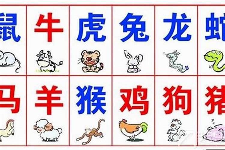 八字不合会相克吗