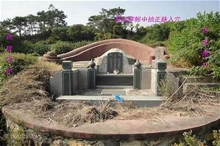 旺子嗣的风水