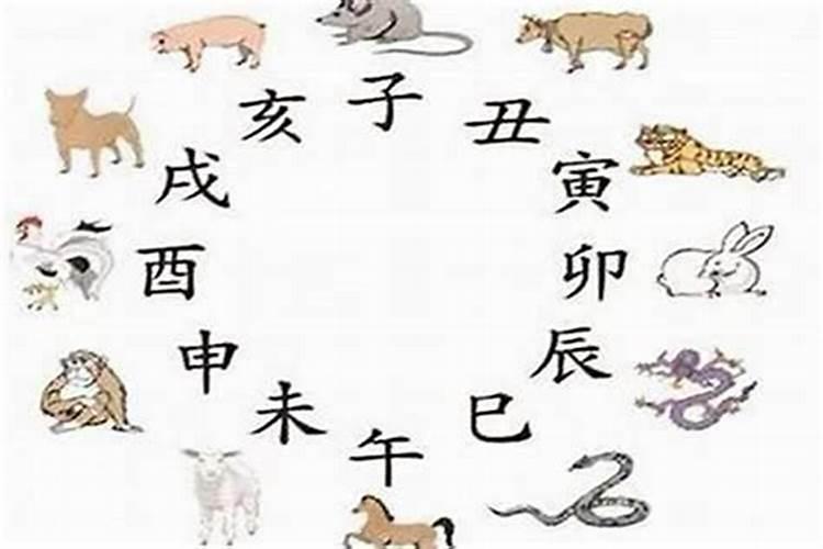 怎么样能化解虎和蛇相冲的关系