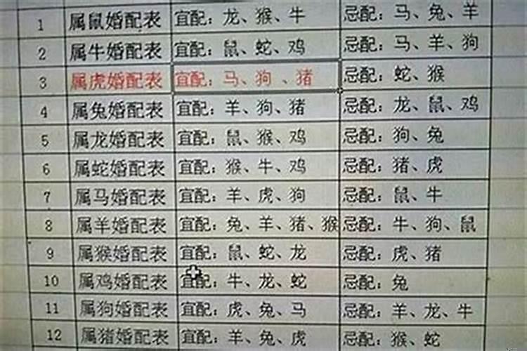 94年生的属相是什么