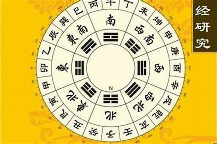虎虎八字合不合