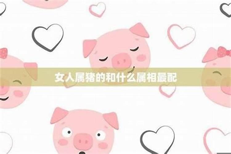 属猪女配什么属相最好属猪女最佳婚配
