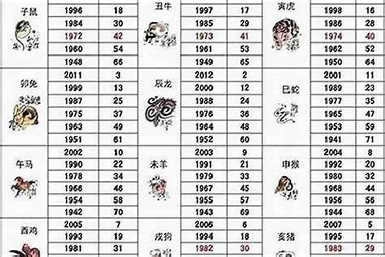 生肖狗属于五行属什么命