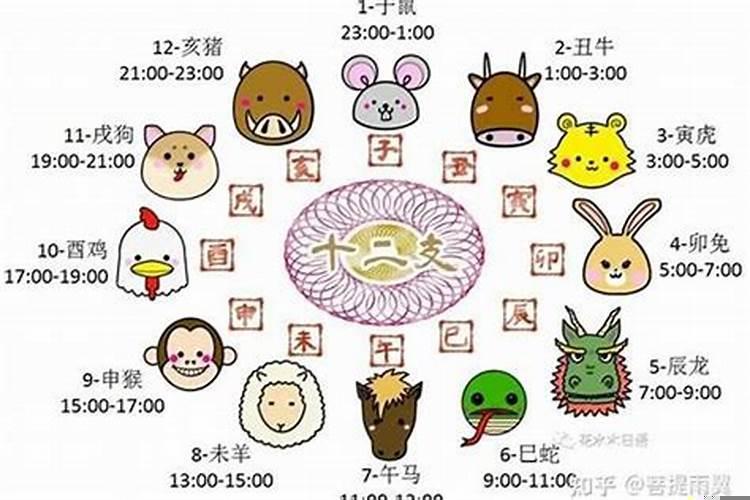 1954年5月属什么