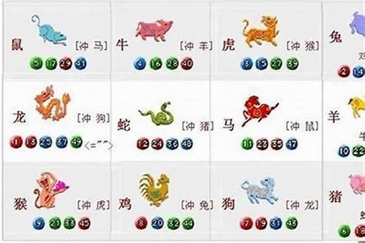 属狗的跟什么属相不合
