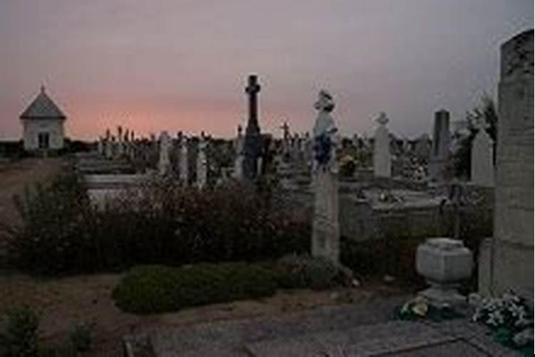 梦见死去的表姐又活了
