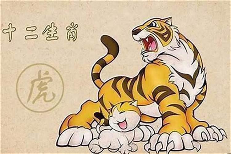 属虎女的跟属狗男的相配吗