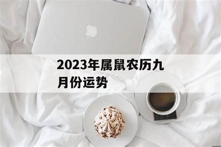 属鼠八月与属鼠十二月