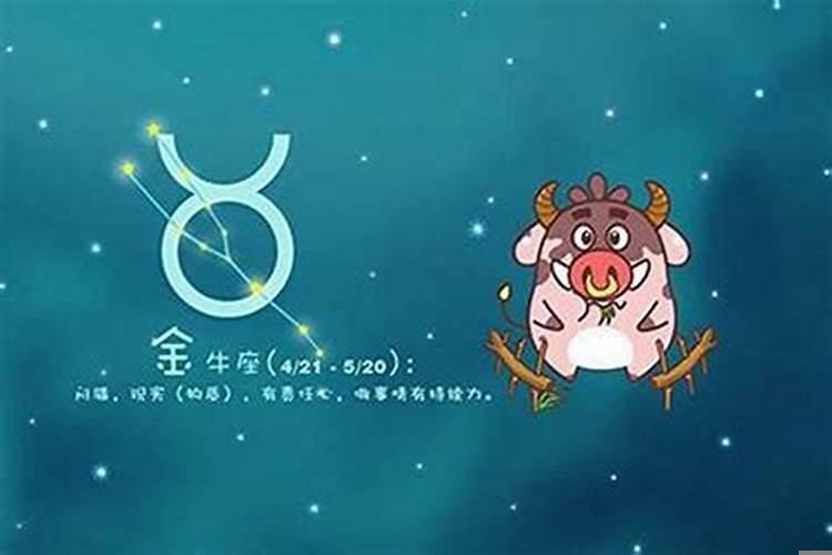 射手座看似傻其实非常聪明