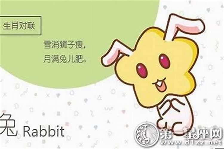 爸爸属鼠妈妈属兔孩子属鼠好吗