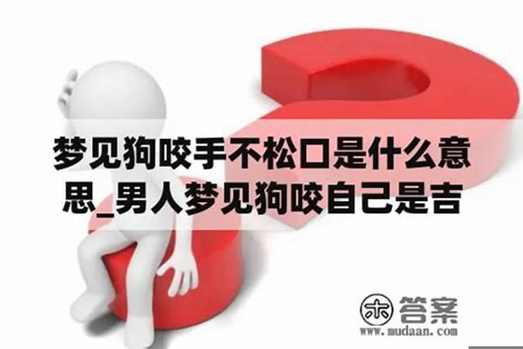 男人梦见狗咬是吉兆