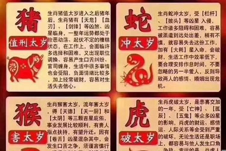亥猪2019年运势