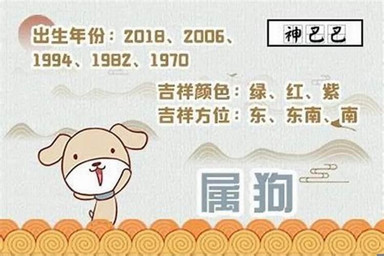 属狗的财运在哪个方位