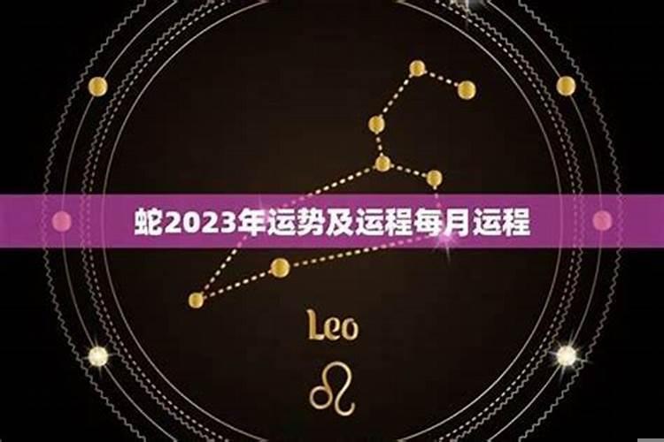 属蛇的十月生日是什么星座