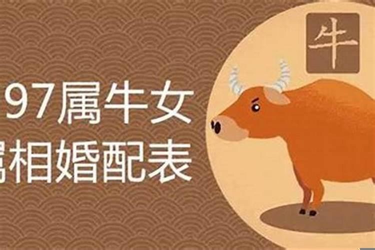 属牛跟什么属相相冲吗