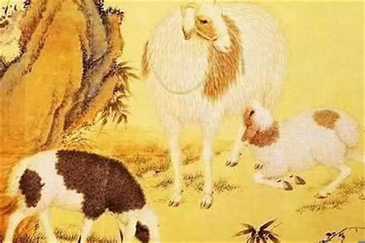 今年82年属狗人的命运