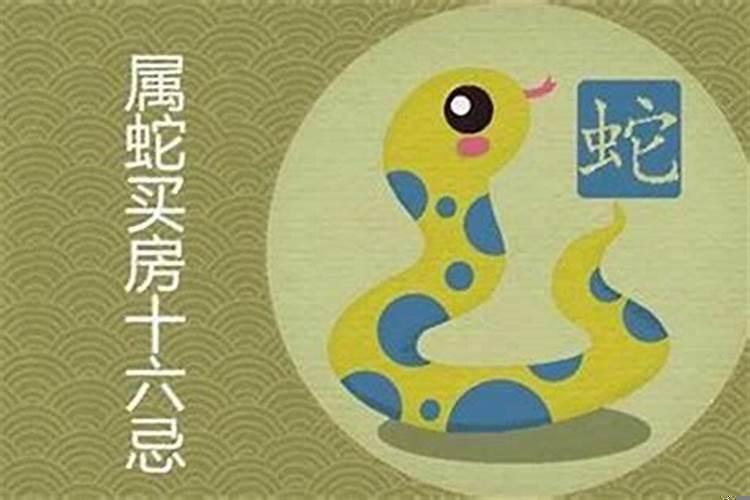 属蛇的人适合住哪个楼层