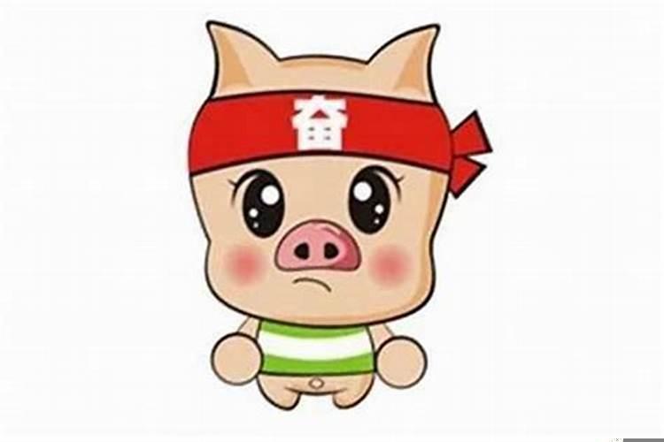 生肖猪佩戴什么吉祥物