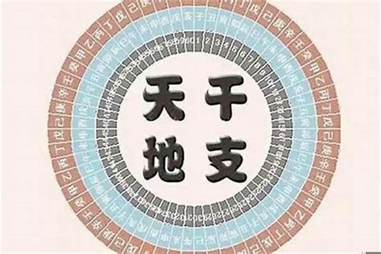 从旺格命好吗