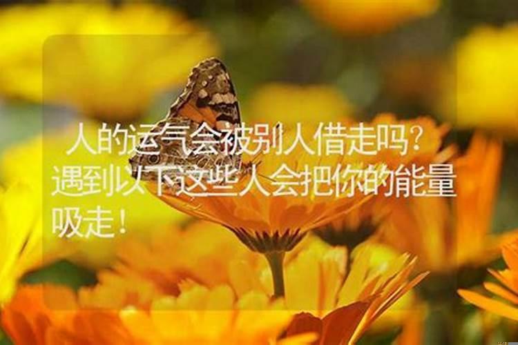 借钱能把财运借出去吗