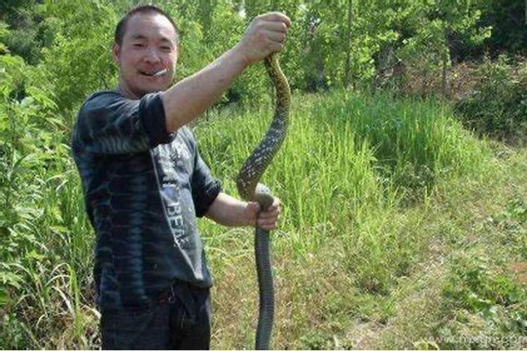梦见自己打蛇是什么意思女子