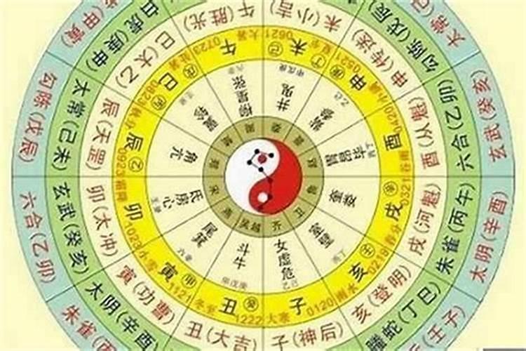 从事命理行业的八字