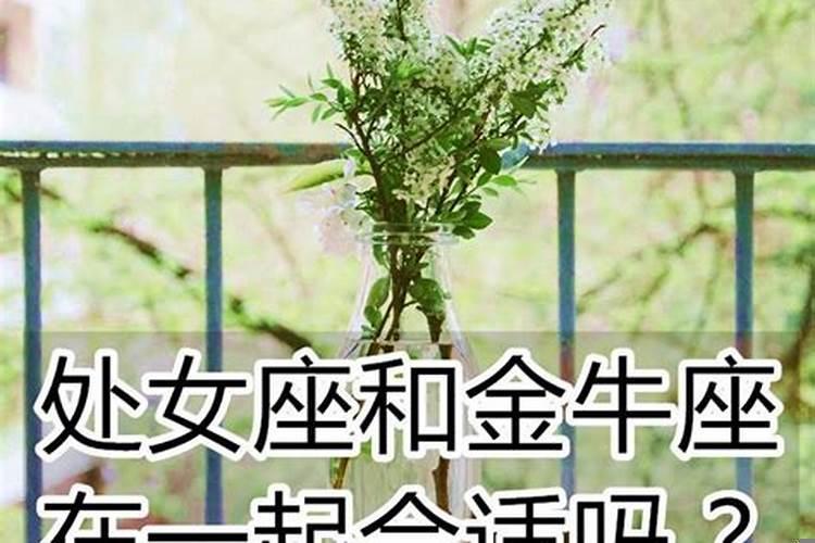 和金牛座的女生谈恋爱太累