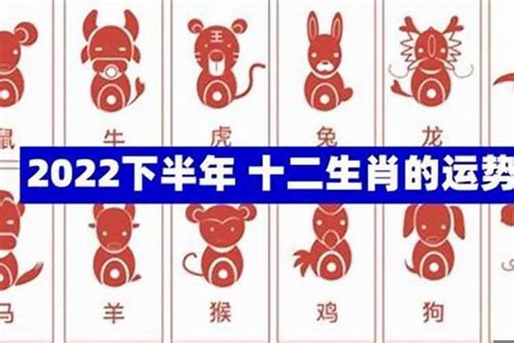 下半年哪些生肖运气好
