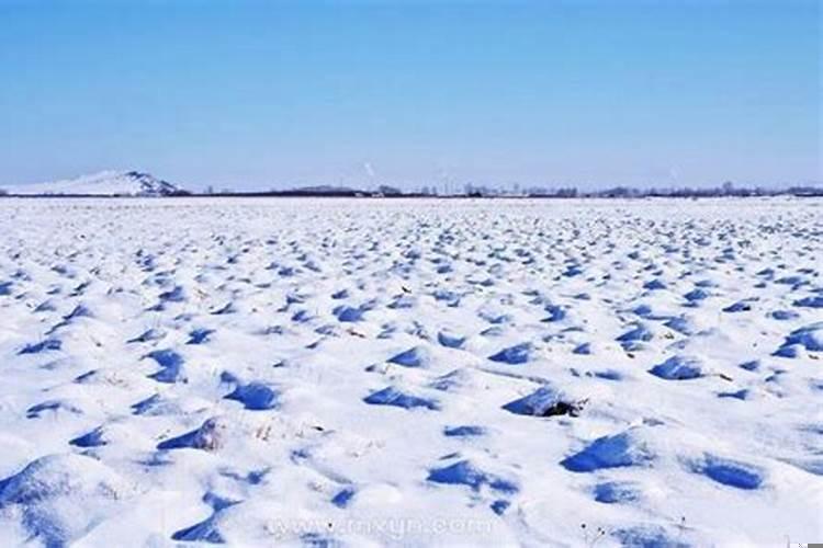 女人梦见下大雪地上的雪很厚