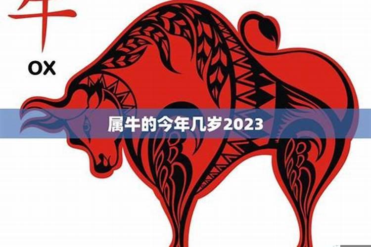 属牛的今年几岁呀